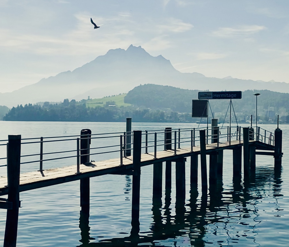 Foto Natur Webseite
